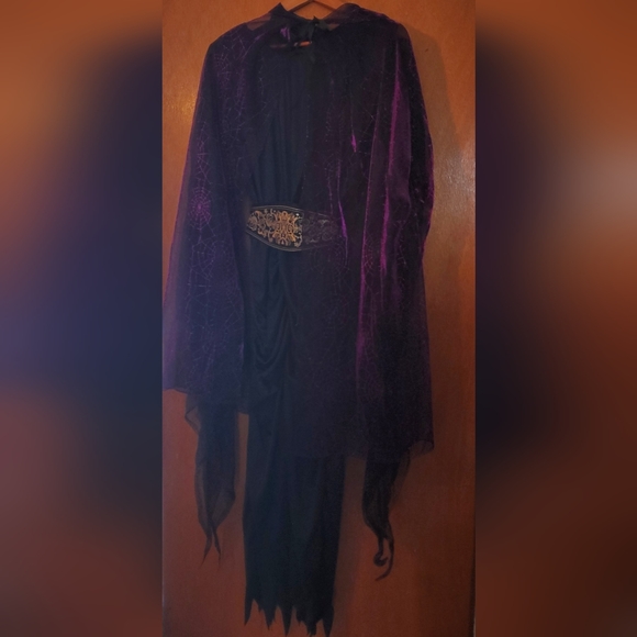 Elegant Witch Hallowe'en Costume size adult small, unique! - Picture 2 of 7